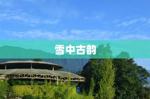 雪中古韵：写雪的古诗全首