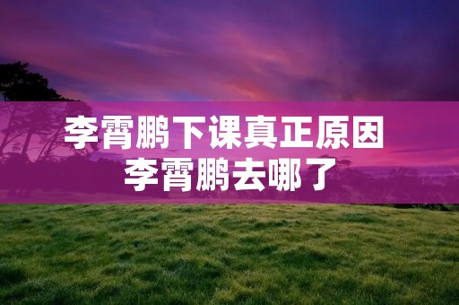 李霄鹏下课真正原因 李霄鹏去哪了
