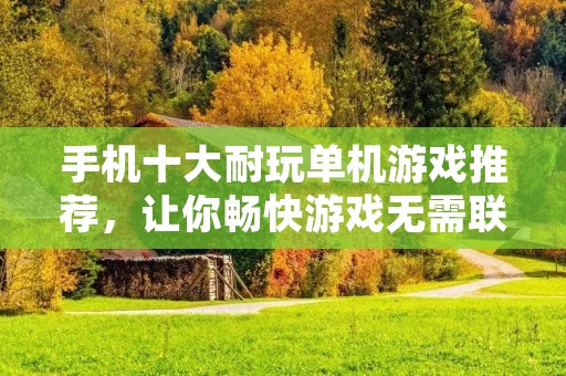 手机十大耐玩单机游戏推荐，让你畅快游戏无需联网！