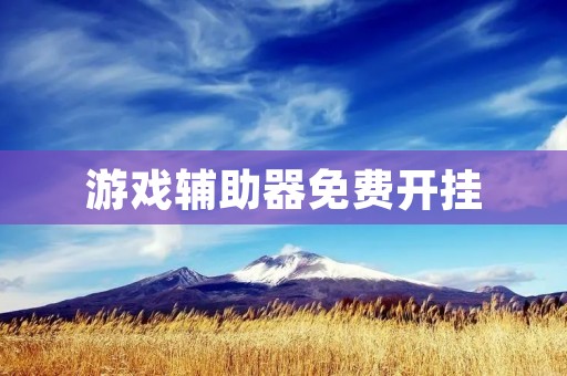 游戏辅助器免费开挂：真的能无限制作弊吗？