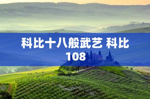 科比十八般武艺 科比108