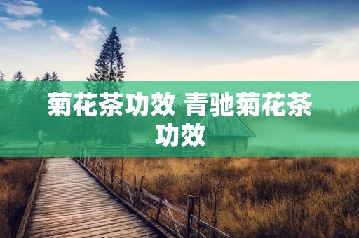 菊花茶功效 青驰菊花茶功效