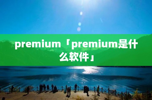 premium「premium是什么软件」