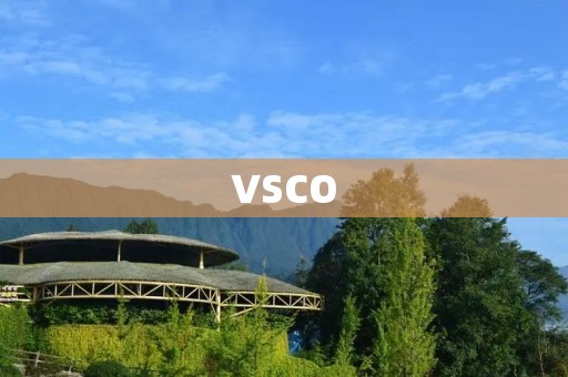 VSCO:让你的照片更有艺术感 VSCO:让你的照片更有艺术感