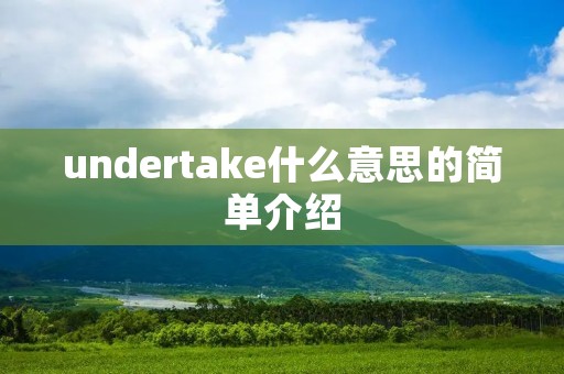 undertake什么意思的简单介绍