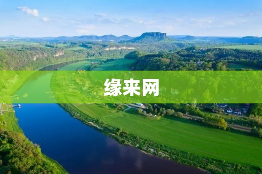 缘来网：寻找真爱的缘分之旅