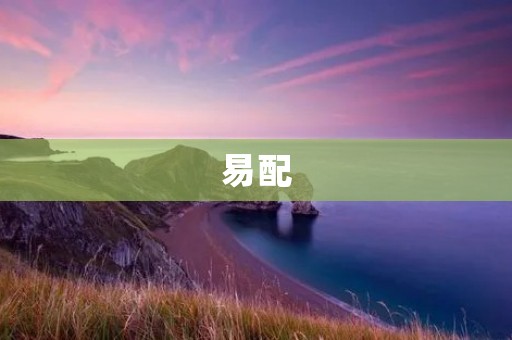 易配：打造兴趣社交新平台