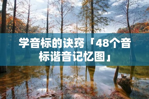 学音标的诀窍「48个音标谐音记忆图」