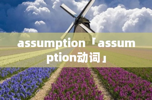 assumption「assumption动词」