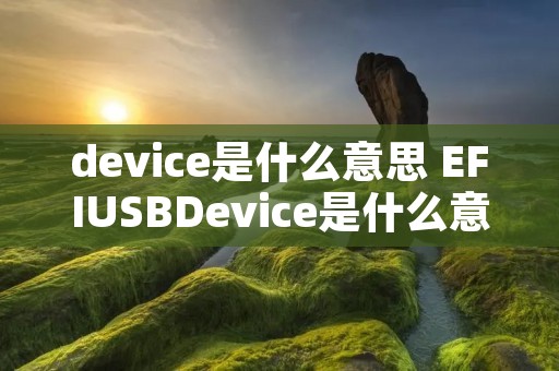 device是什么意思 EFIUSBDevice是什么意思