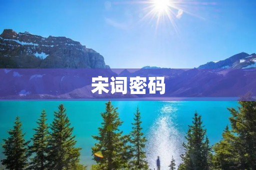 宋词密码：揭秘宋代文化中的谜团