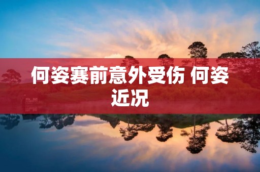 何姿赛前意外受伤 何姿近况 何姿赛前意外受伤 何姿近况