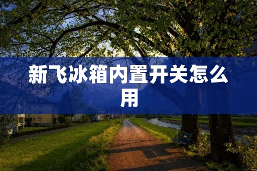 新飞冰箱内置开关怎么用 新飞冰箱内置开关怎么用