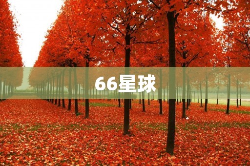66星球:无尽宇宙中的奇幻之旅 66星球:无尽宇宙中的奇幻之旅