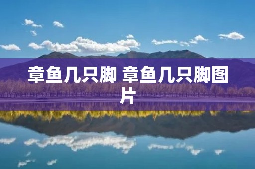 章鱼几只脚 章鱼几只脚图片