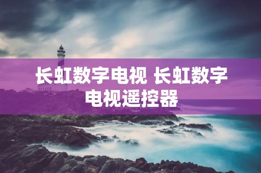 长虹数字电视 长虹数字电视遥控器