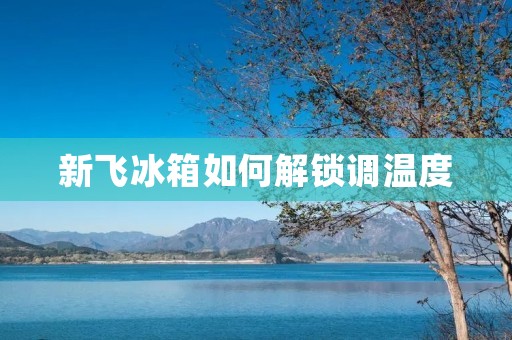 新飞冰箱如何解锁调温度