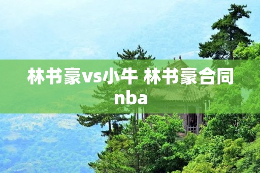 林书豪vs小牛 林书豪合同nba