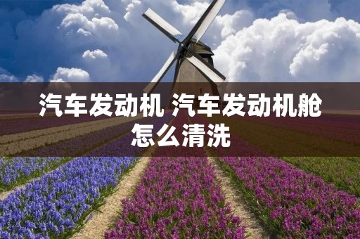 汽车发动机 汽车发动机舱怎么清洗 汽车发动机 汽车发动机舱怎么清洗