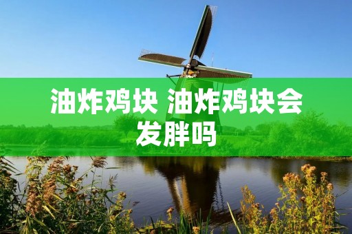 油炸鸡块 油炸鸡块会发胖吗