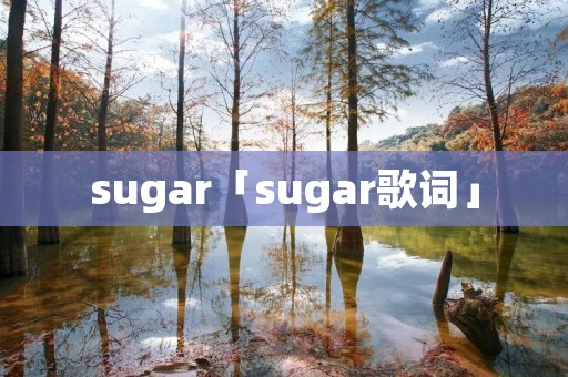 sugar「sugar歌词」 sugar「sugar歌词」