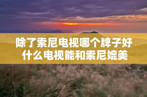 除了索尼电视哪个牌子好 什么电视能和索尼媲美 除了索尼电视哪个牌子好 什么电视能和索尼媲美