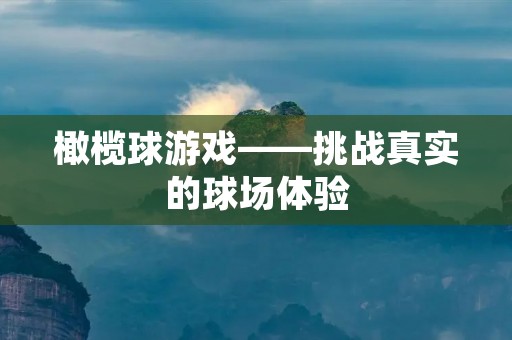 橄榄球游戏——挑战真实的球场体验