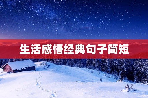 生活感悟经典句子简短