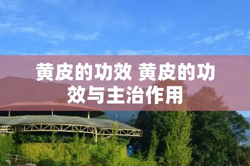 黄皮的功效 黄皮的功效与主治作用