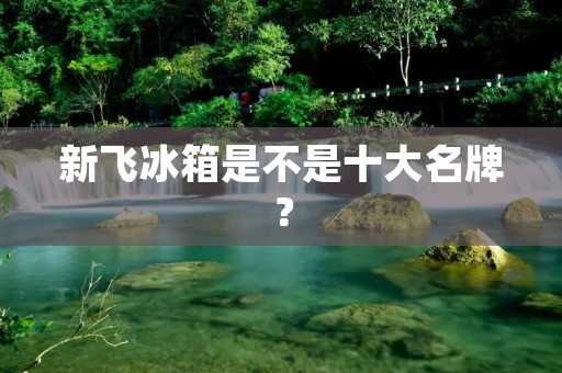 新飞冰箱是不是十大名牌？