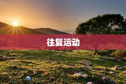 往复运动：从机械到应用的探索