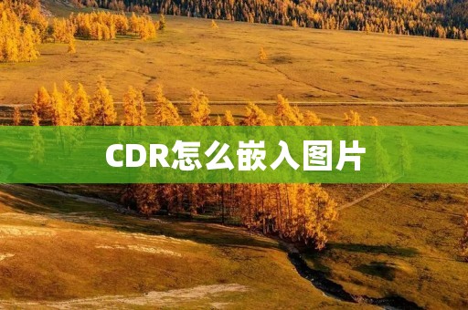 CDR怎么嵌入图片