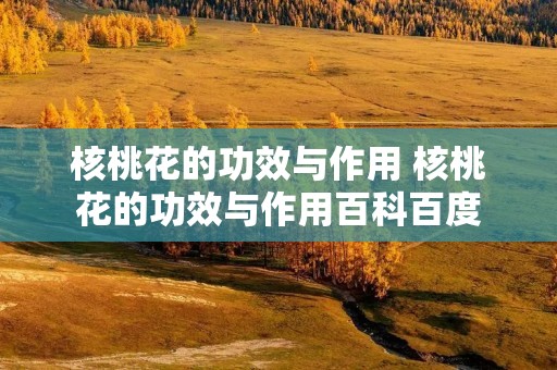 核桃花的功效与作用 核桃花的功效与作用百科百度