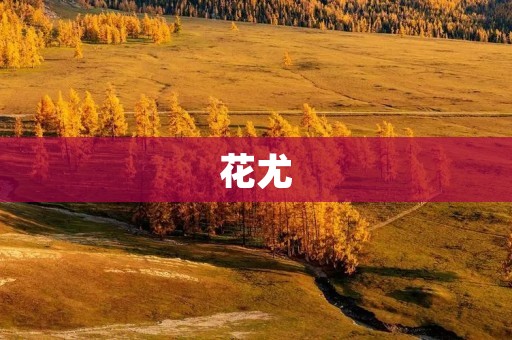 花尤：探寻神秘的花卉世界