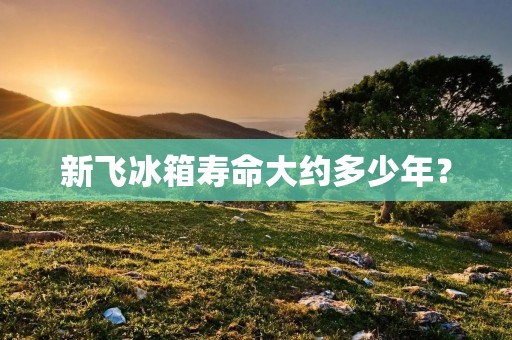 新飞冰箱寿命大约多少年? 新飞冰箱寿命大约多少年?