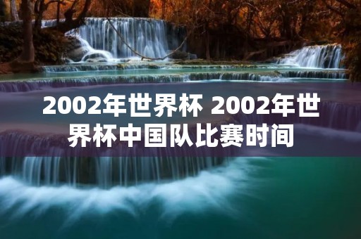 2002年世界杯 2002年世界杯中国队比赛时间