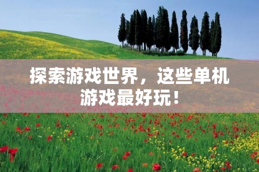 探索游戏世界,这些单机游戏最好玩!