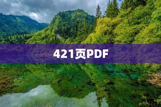 421页PDF:深入探索数字化时代的信息世界 421页PDF:深入探索数字化时代的信息世界