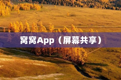 窝窝App(屏幕共享):实时共享你的屏幕,便捷高效的工作协作工具 窝窝App(屏幕共享):实时共享你的屏幕,便捷高效的工作协作工具