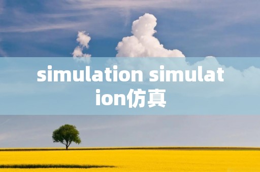 simulation simulation仿真