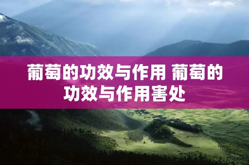 葡萄的功效与作用 葡萄的功效与作用害处 葡萄的功效与作用 葡萄的功效与作用害处
