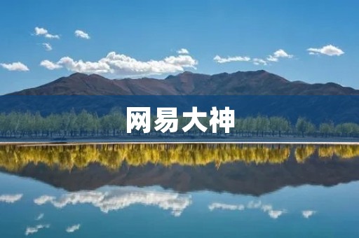 网易大神:打造游戏世界的顶尖技术专家 网易大神:打造游戏世界的顶尖技术专家