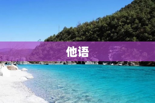他语：探寻人类语言的奥秘与魅力