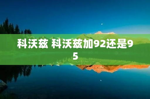科沃兹 科沃兹加92还是95