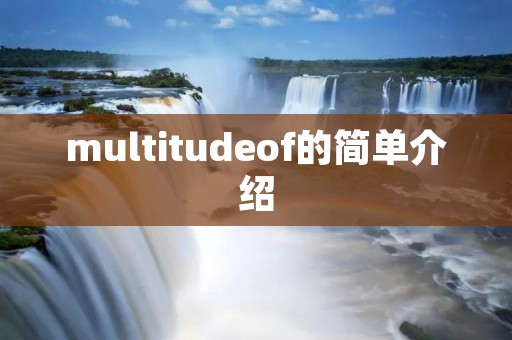 multitudeof的简单介绍