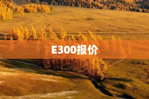 E300报价：探索奢华与性能的完美结合