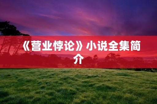 《营业悖论》小说全集简介
