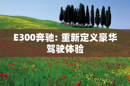 E300奔驰: 重新定义豪华驾驶体验 E300奔驰: 重新定义豪华驾驶体验