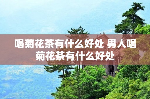 喝菊花茶有什么好处 男人喝菊花茶有什么好处