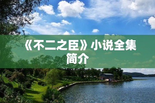 《不二之臣》小说全集简介